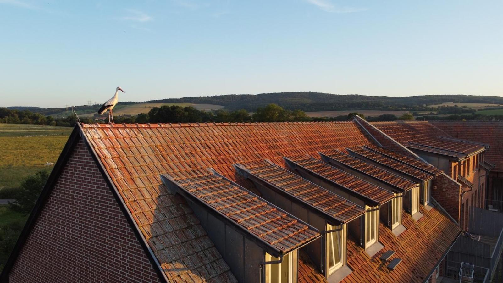 Biohotel Stiftsgut Wilhelmsgluecksbrunn Creuzburg Екстериор снимка